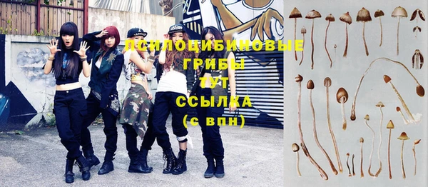 мет Белокуриха